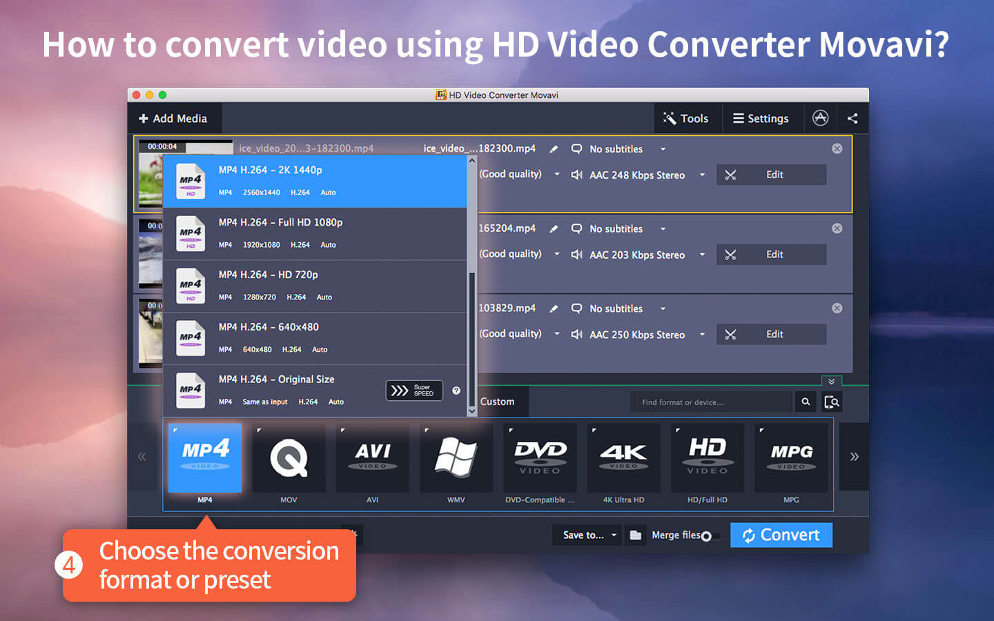 video converter mac torrent
